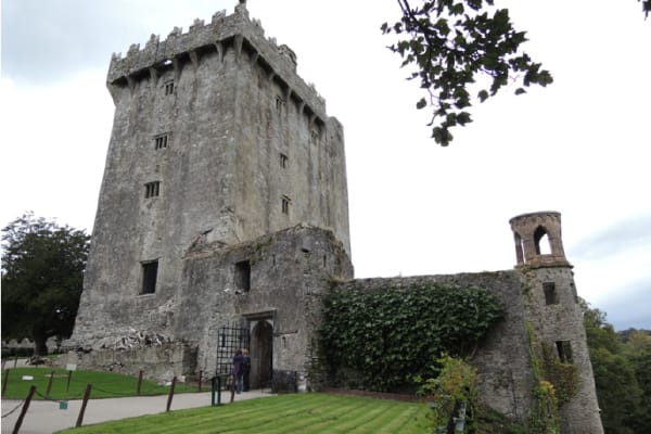 Blarney Castle Façade Conservation